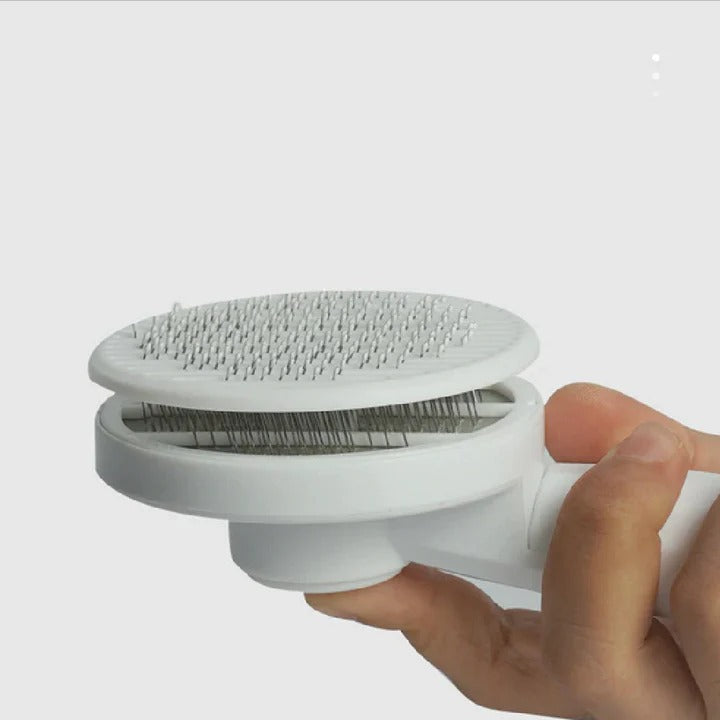 Cepillo Removedor De Pelos